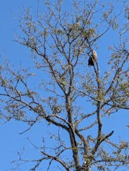 Old Place（オールドプレイス）に投稿された画像（2025/10/16）