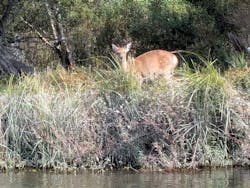 Old Place（オールドプレイス）に投稿された画像（2025/10/16）