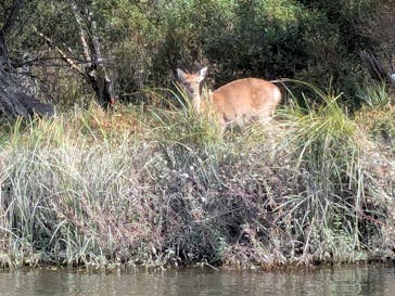 Old Place（オールドプレイス）に投稿された画像（2025/10/16）