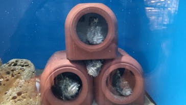 アクアワールド茨城県大洗水族館に投稿された画像（2025/10/16）