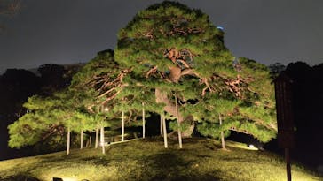 夜間特別開園 秋の夜長の小石川後楽園2025に投稿された画像（2025/10/16）