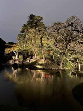 夜間特別開園 秋の夜長の小石川後楽園2025に投稿された画像（2025/10/16）