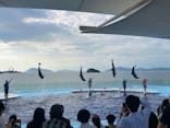 四国水族館に投稿された画像（2025/10/16）