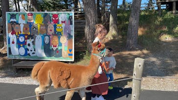 八ヶ岳アルパカ牧場に投稿された画像（2025/10/16）