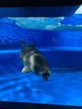 サンシャイン水族館に投稿された画像（2025/10/16）