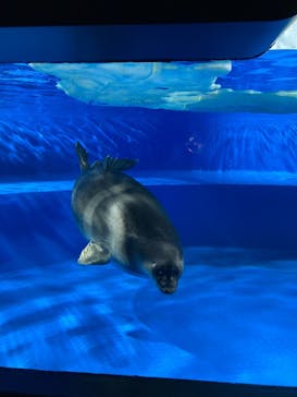 サンシャイン水族館に投稿された画像（2025/10/16）