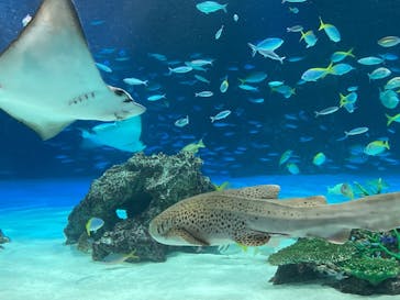 サンシャイン水族館に投稿された画像（2025/10/16）