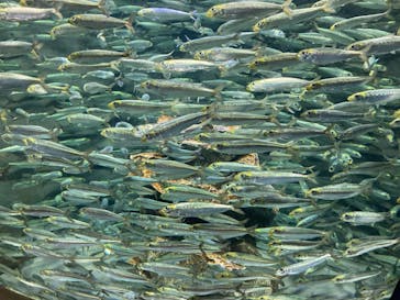 サンシャイン水族館に投稿された画像（2025/10/16）