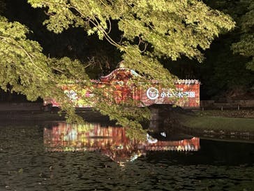 夜間特別開園 秋の夜長の小石川後楽園2025に投稿された画像（2025/10/16）