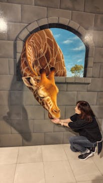 伊豆トリックアート迷宮館に投稿された画像（2025/10/16）