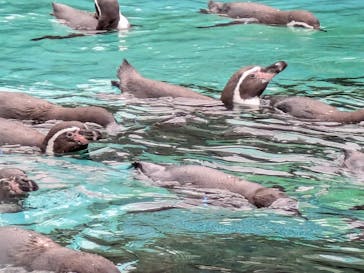 天王寺動物園に投稿された画像（2025/10/16）