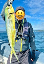 SeafariJapanに投稿された画像（2025/10/17）