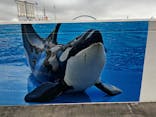 名古屋港水族館に投稿された画像（2025/10/17）