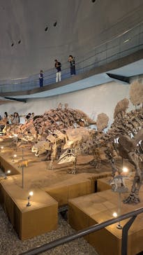 福井県立恐竜博物館に投稿された画像（2025/10/17）