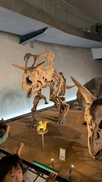 福井県立恐竜博物館に投稿された画像（2025/10/17）