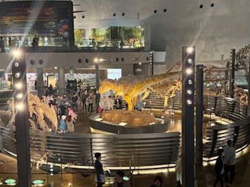 福井県立恐竜博物館に投稿された画像（2025/10/17）