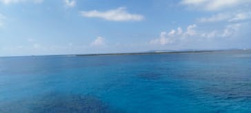 M.a.r.i.n.e Factoryに投稿された画像（2025/10/17）