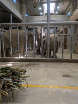 名古屋市東山動植物園に投稿された画像（2025/10/17）