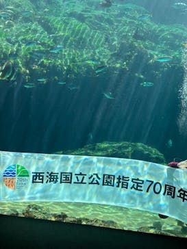 九十九島パールシーリゾートに投稿された画像（2025/10/17）