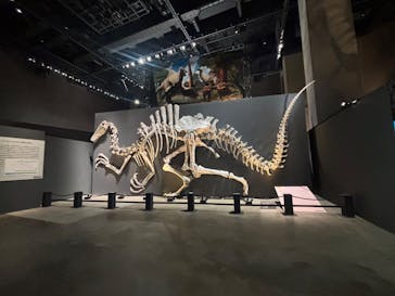 福井県立恐竜博物館に投稿された画像（2025/10/17）