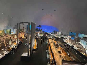 福井県立恐竜博物館に投稿された画像（2025/10/17）