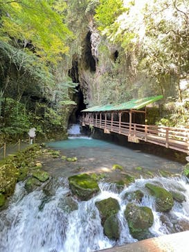 秋芳洞に投稿された画像（2025/10/17）