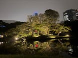 夜間特別開園 秋の夜長の小石川後楽園2025に投稿された画像（2025/10/17）