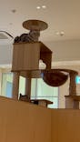 Cat Café MOFF 名古屋PARCO店に投稿された画像（2025/10/17）