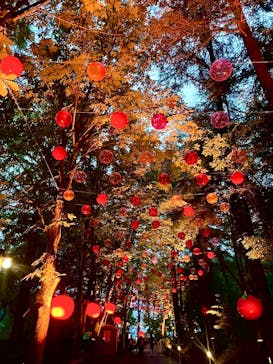 ムーミンバレーパークに投稿された画像（2025/10/17）