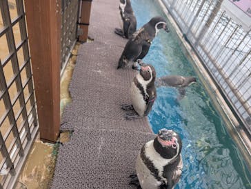 伊豆・三津シーパラダイスに投稿された画像（2025/10/17）