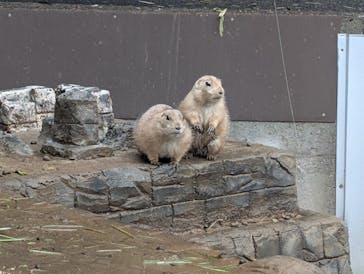 伊豆シャボテン動物公園に投稿された画像（2025/10/17）