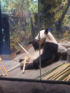 恩賜上野動物園に投稿された画像（2025/10/17）