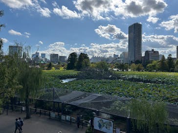 恩賜上野動物園に投稿された画像（2025/10/17）