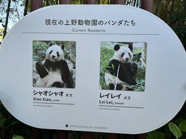 恩賜上野動物園に投稿された画像（2025/10/17）