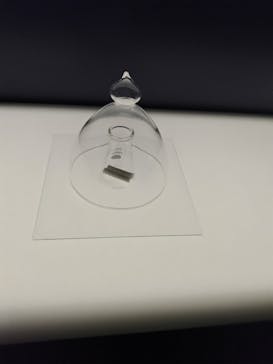 正倉院 THE SHOW ―感じる。いま、ここにある奇跡―　@上野の森美術館に投稿された画像（2025/10/17）