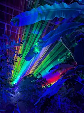 京都府立植物園　LIGHT CYCLES KYOTOに投稿された画像（2025/10/17）