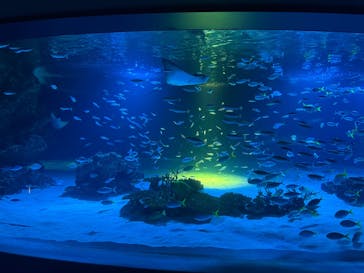 サンシャイン水族館に投稿された画像（2025/10/17）