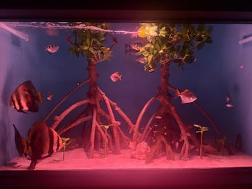 サンシャイン水族館に投稿された画像（2025/10/17）