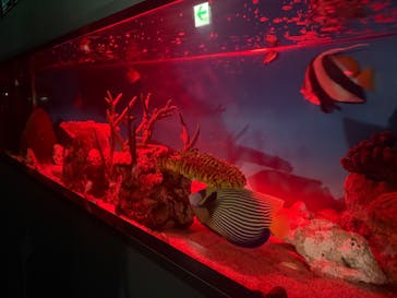 サンシャイン水族館に投稿された画像（2025/10/17）