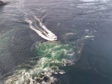 徳島県立 渦の道に投稿された画像（2025/10/17）