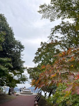 寒霞渓ロープウェイに投稿された画像（2025/10/17）