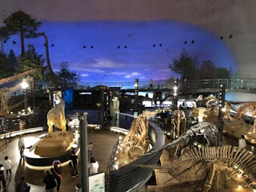 福井県立恐竜博物館に投稿された画像（2025/10/17）