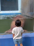ゼロ距離水族館 伊勢シーパラダイスに投稿された画像（2025/10/18）