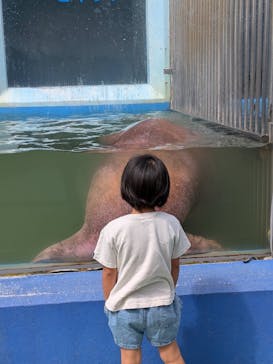 ゼロ距離水族館 伊勢シーパラダイスに投稿された画像（2025/10/17）