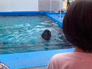 ゼロ距離水族館 伊勢シーパラダイスに投稿された画像（2025/10/17）