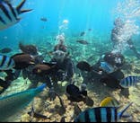 マリンサービスむるぬーしに投稿された画像（2025/10/18）