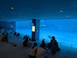 名古屋港水族館に投稿された画像（2025/10/18）