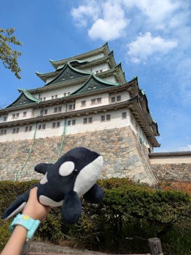 名古屋港水族館に投稿された画像（2025/10/17）