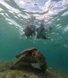 宮古島マリン SUGAR3（シュガースリー）に投稿された画像（2025/10/18）