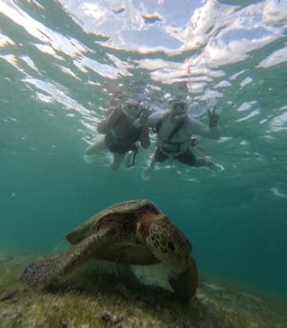 宮古島マリン SUGAR3（シュガースリー）に投稿された画像（2025/10/18）